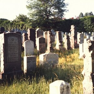 An Old Country Grave Yard in New England