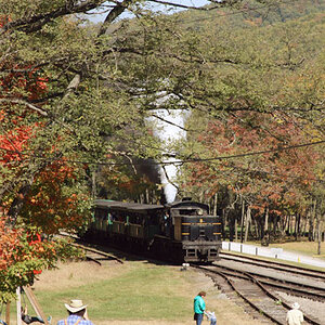 Cass scenic railroad. Restored Shay engines take excursions to the top of WV's second highest point.