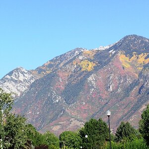 The view looking east from my driveway in Sandy Utah in September 2003. The fall color comes to the mountains before affecting valley locations. Made
