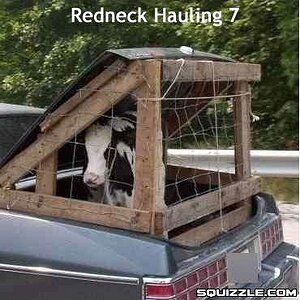 Redneck Hauling