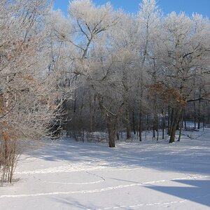 Back yard winter wonderland