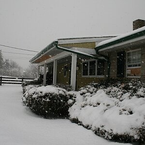 Front of the house during ice snow storm - January 28, 2009