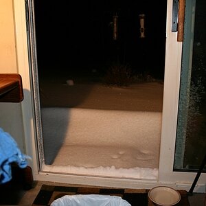February 3, 2009 - Out the back door.