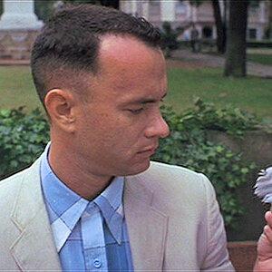 forrest gump feather