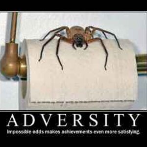adversity2