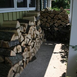 Starting to stack good but unseasoned wood (for next year).