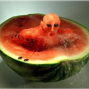 watermelon swim