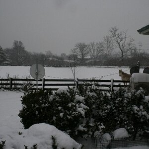 20100209 - Snow Storm - 9 February 2010