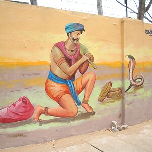 Paintings on wall - Snake and charmer