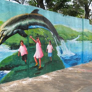 Paintings on wall - A Dolphin jump