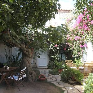 The incirliev (guesthouse) means "The house with the fig tree".  Owners Sabahat and Osman will make you feel right at home.
