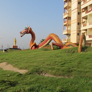 The dragon on the lawns of the shoreside apartments