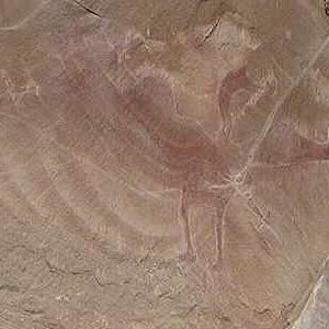 pterosaur pictograph
from
https://www.forbiddenhistory.info/?q=node/14