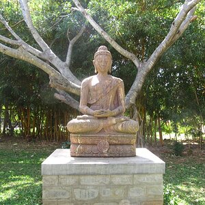 The Buddha at the Bangalore International Exhibition Center (BIEC)