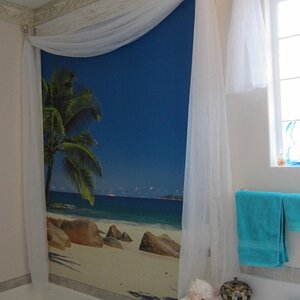 I put a mural on the big blank wall over the tub and framed it to make it look like a window.