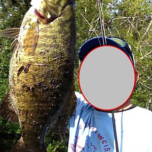 A nice smallmouth bass taken from a local lake near my house a few months ago.  7 lbs 6 oz.